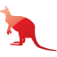 kangaroo 5