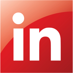 linkedin 2 icon