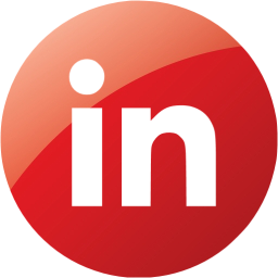 linkedin 4 icon