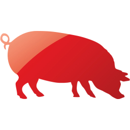 pig 4 icon