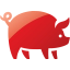 pig