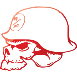 skull 14 icon