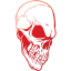 skull 19