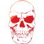 skull 41