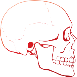 skull 62 icon