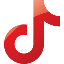 tiktok icon