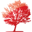 tree 11