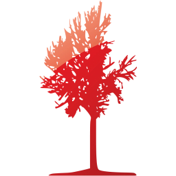 tree 42 icon