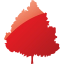 tree 47