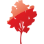 tree 6