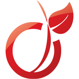 viadeo icon