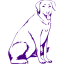 indigo dog 13 icon