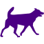 indigo dog 32 icon