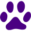 indigo footprints cat icon