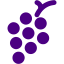 indigo grapes icon