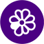 indigo icq 4 icon