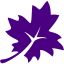 indigo leaf 3 icon