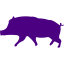 indigo pig 10 icon