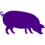 indigo pig 4 icon