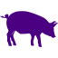 indigo pig 6 icon