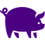 indigo pig icon