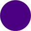 indigo record icon