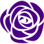 indigo rose icon