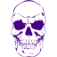 indigo skull 41 icon