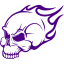 indigo skull 43 icon