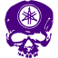 indigo skull 49 icon