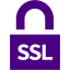 indigo ssl badge 4 icon