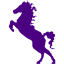 indigo stallion icon