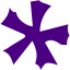 indigo star 10 icon