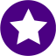 indigo star 6 icon