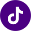 indigo tiktok 3 icon