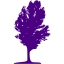 indigo tree 17 icon