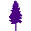 indigo tree 19 icon