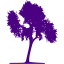 indigo tree 33 icon