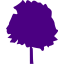 indigo tree 37 icon