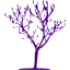 indigo tree 7 icon