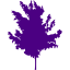 indigo tree 71 icon