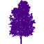 indigo tree 74 icon