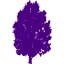 indigo tree 76 icon