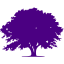 indigo tree 9 icon