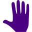 indigo whole hand icon