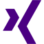 indigo xing icon