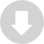 light gray arrow 209 icon