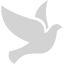 light gray bird 2 icon