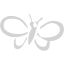 light gray butterfly 3 icon