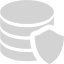 light gray data protection icon